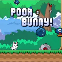 Poor Bunny